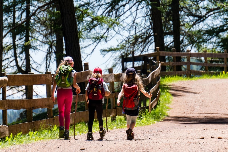 Hiking in the forest