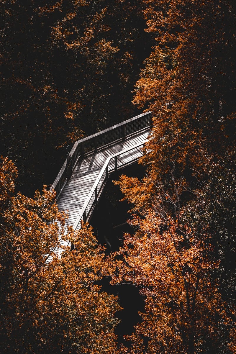 Meditation in Nature